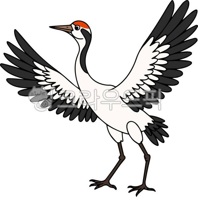 학, crane, cranebird, bird, birds, 사진,이미지,일러스트,캘리그라피 - kinghobak작가