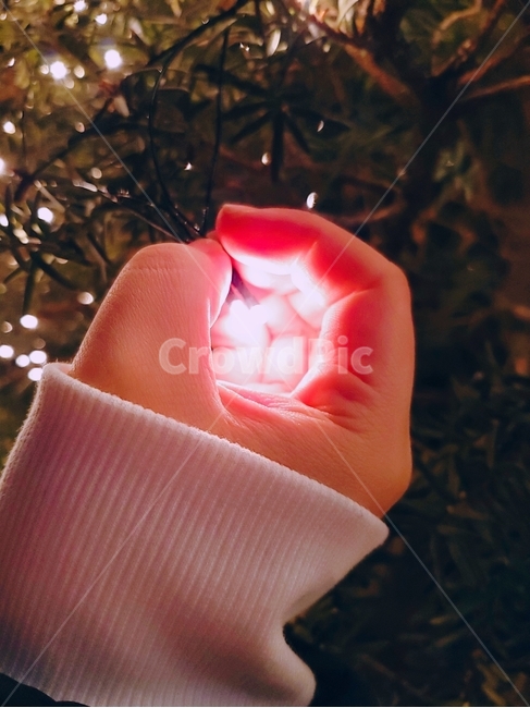 손,빛,전구,트리,크리스마스,겨울,반짝,light,hand