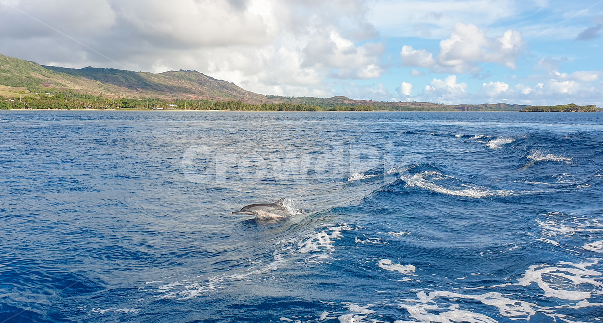 괌,하와이,바다,guam,hawai,섬,ocean,sea,sky,cloud,하늘,구름,outdoors,자연,nature,풍경,경치,대양,해안선,shoreline,landscape,돌고래,자연,풍경,nature,landscape