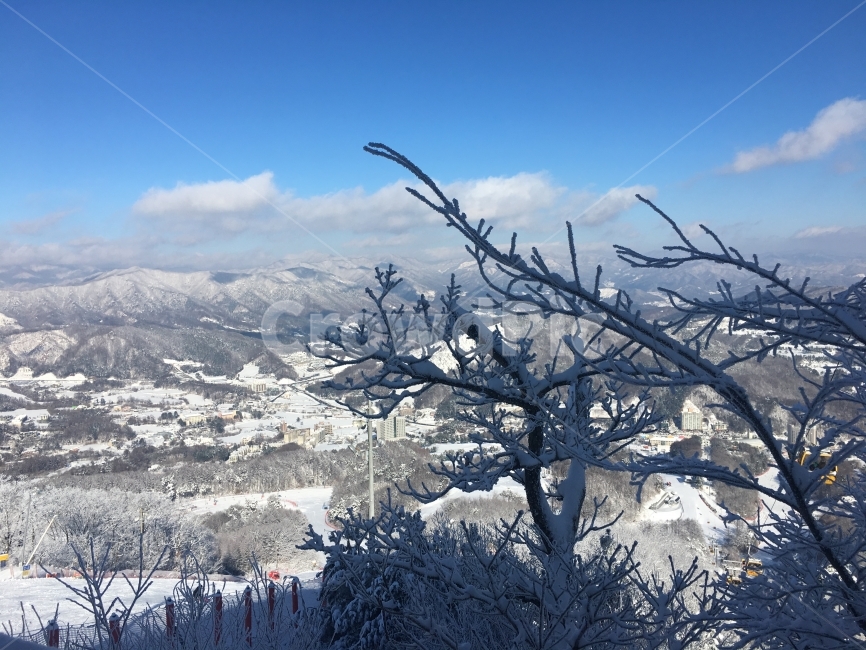 겨울산,눈꽃,눈,겨울,하늘,겨울나무,겨울,계절,winter,season,자연,풍경,nature,landscape,outdoors,옥외