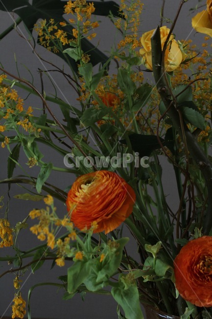 꽃,flower,blossom,장미,수국,나뭇가지,풀,식물,꽃다발,실내,꽃꽃이,꽃,flower