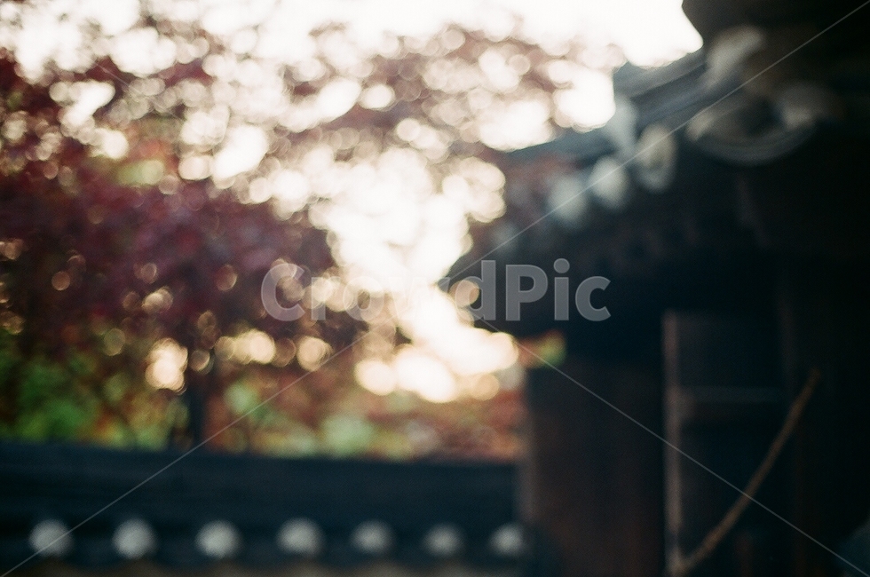 아웃포커스,아웃포커싱,outoffocus,한국,한옥,korea,house,저녁,노을,twilight,dusk,korean