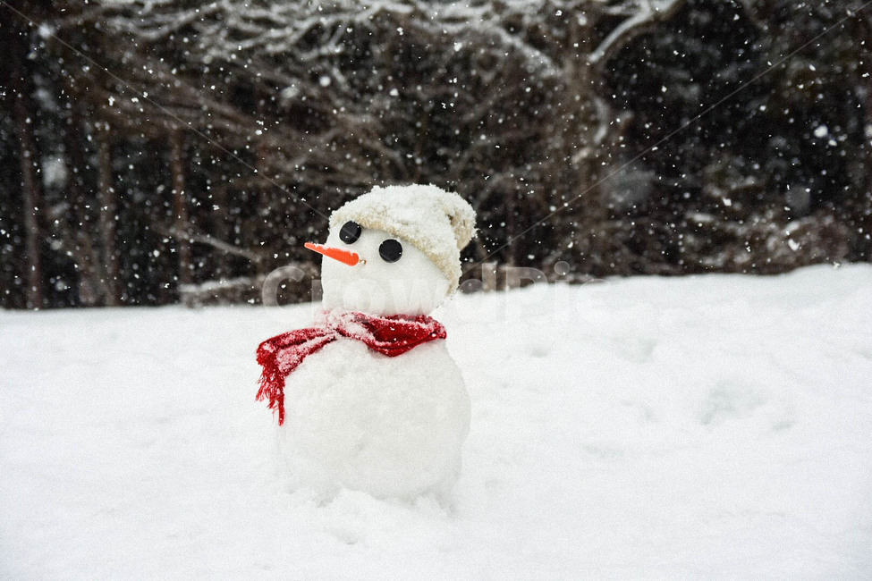 nature,자연,outdoors,옥외,snow,눈,snowman,눈사람,일본,기후현,시라카와고,설국,마을,neckwarmer,carrot,겨울,눈밭,japan,gifu,shirakawago,winter,감성,겨울,계절,winter,season