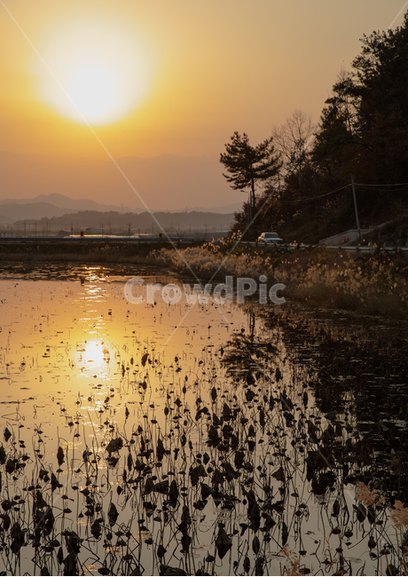 청도,혼신지,청도혼신지,일몰,풍경,청도풍경,일상,스냅,연못,자연,풍경,nature,landscape,land,땅,outdoors,옥외,water,물