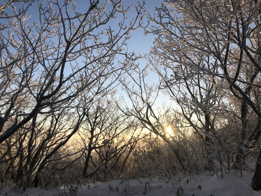겨울산,등산,눈,나무,겨울풍경