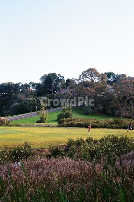 도로,산,자연,필름사진,뉴질랜드,nature,park,공원