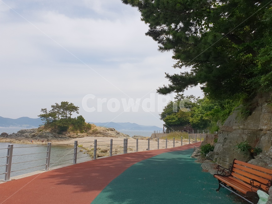바닷가,산책로,섬,벤치,소나무