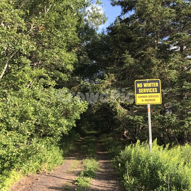 숲,자연,표지판,나무,길,forest,nature,sign,tress,road,path,자연,풍경,nature,landscape