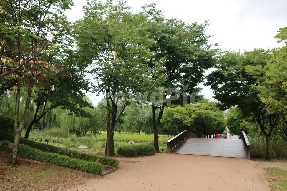 서울,창포원,식물원,도시,공원,습지,조성,숲,산책,산책로,자연,풍경,nature,landscape,outdoors,옥외,tree,나무,plant,식물