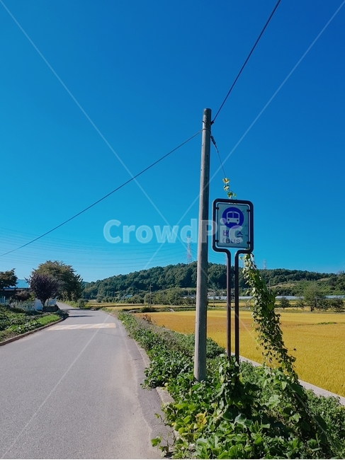 시골,충남,하늘,논,밭,낮,벼,길,풀,도로,버스,정류장,파란,산,풍경