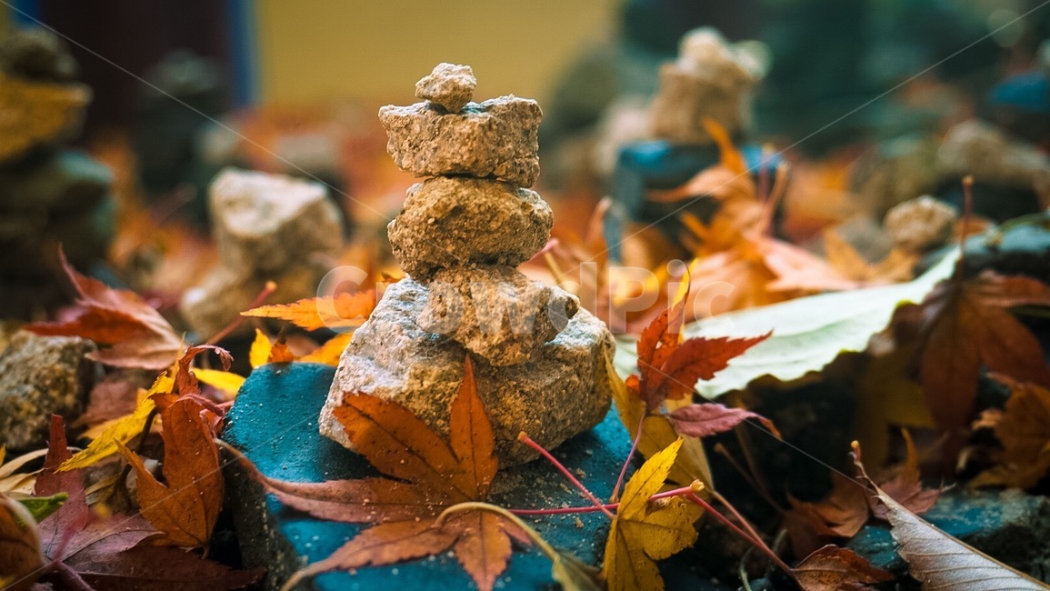 fall leaves,fallen leaves,Bulguksa Temple,Gyeongju,Stone tower