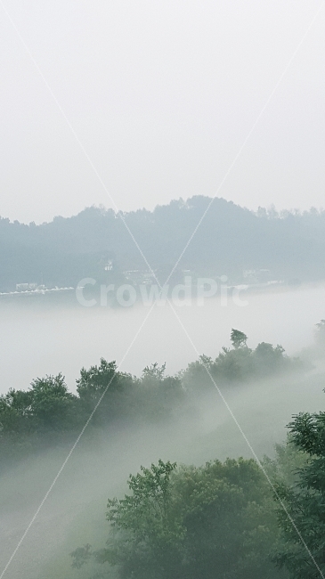 물안개,안개,풍경,영화,신비함,자연,풍경,nature,landscape,weather,날씨,outdoors,옥외,mist,fog