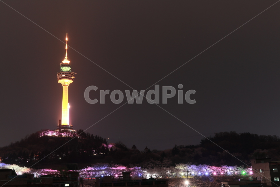 대구,우방타워,83타워,벚꽃축제,대구야경,야경,밤,풍경,nightscape,night,landscape,steeple,뾰족한 탑,architecture,건축물,building,건물,tower,탑,spire,첨탑,lighting,조명