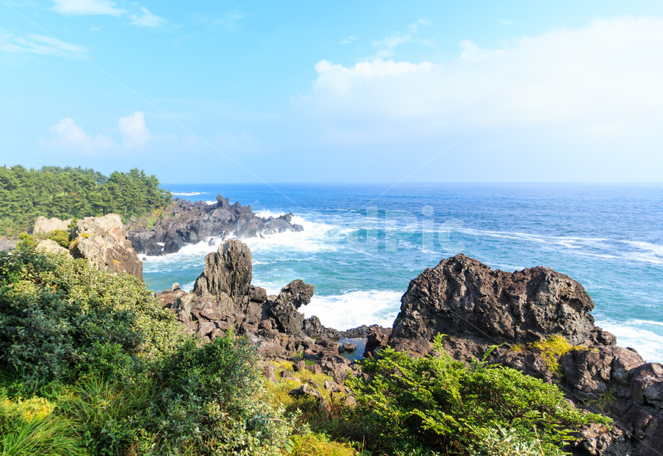 제주,주상절리,중문단지,파도,바다,자연,제주도,풍경,암석,해안,해안선,절리,화산암,암맥,용암,응회암,중문,여행지,수평선,파란,하늘,나무,관광자원,경치,아름다운,물결,에메랄드,해안절벽,절벽,관광지,주상절리대,지형,지구과학,육각기둥,푸른바다,물거품,자연,풍경,nature,landscape,한국자연풍경,한국자연경관,korea nature landscape,제주도,jeju,jeju island,promontory,곶,outdoors,옥외,water,물,ocean,대양,sea
