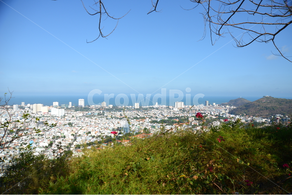 자연,nature,풍경,나무,tree,도시,풍경,city,landscape,경치,outdoors,옥외,scenery