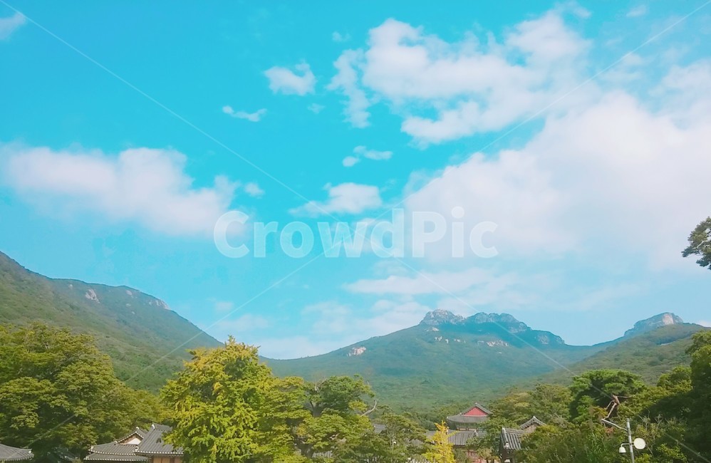 하늘,해남,절,나무,산