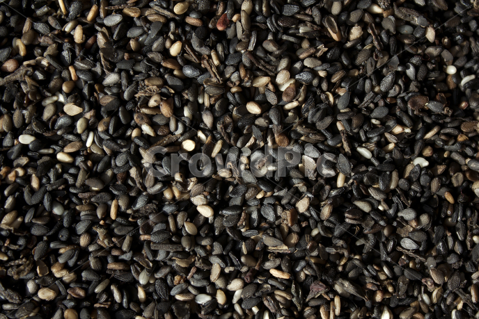 brown,closeup,dry,dummy,food,gold,grain,macro,meal,natural,nature,organic,plant,seed,seeds,sesame,sesameseed,sesameseeds,top,topangle,topview,yellow,깨,참깨,곡식,곡류,음식,음식재료,식재료,식물,씨앗,씨,갈색,브라운,말린,말리는,건조,자연,클로즈업,탑앵글,탑뷰,깨소금,농작물,농촌,농사,음식,식재료,요리,food,cook,meal,dishes,food reserves,곡류,곡식,cereals