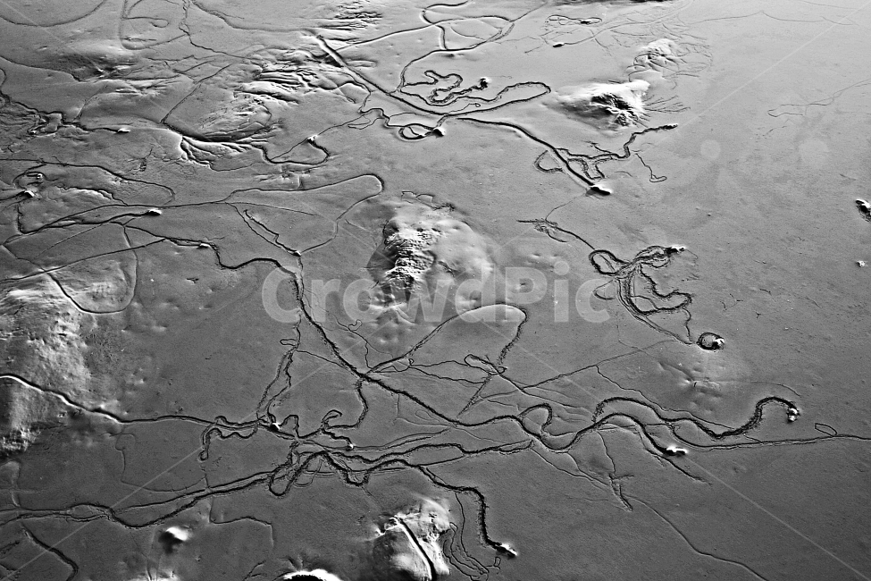 갯벌,갯벌의오후,영광백수해변,해변,고동,해변,바다,beach,sea,흑백,모노톤,monochrome,black and white