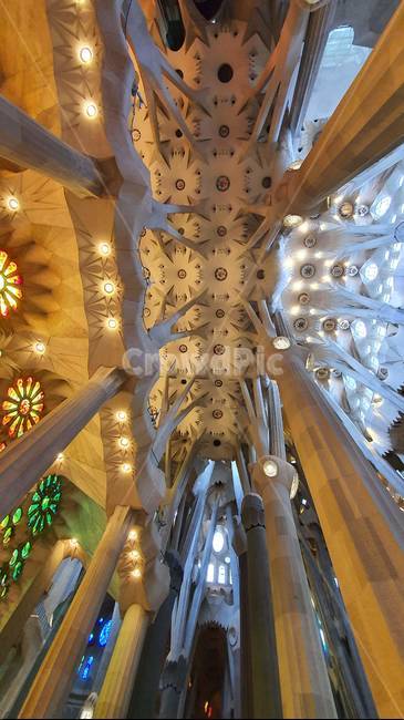 스페인,베르셀로나,사그라다,파밀리아,성당,가우디,spain,sagrada,familia,catholic,church,gaudy,barcelona,건축물,building,lighting