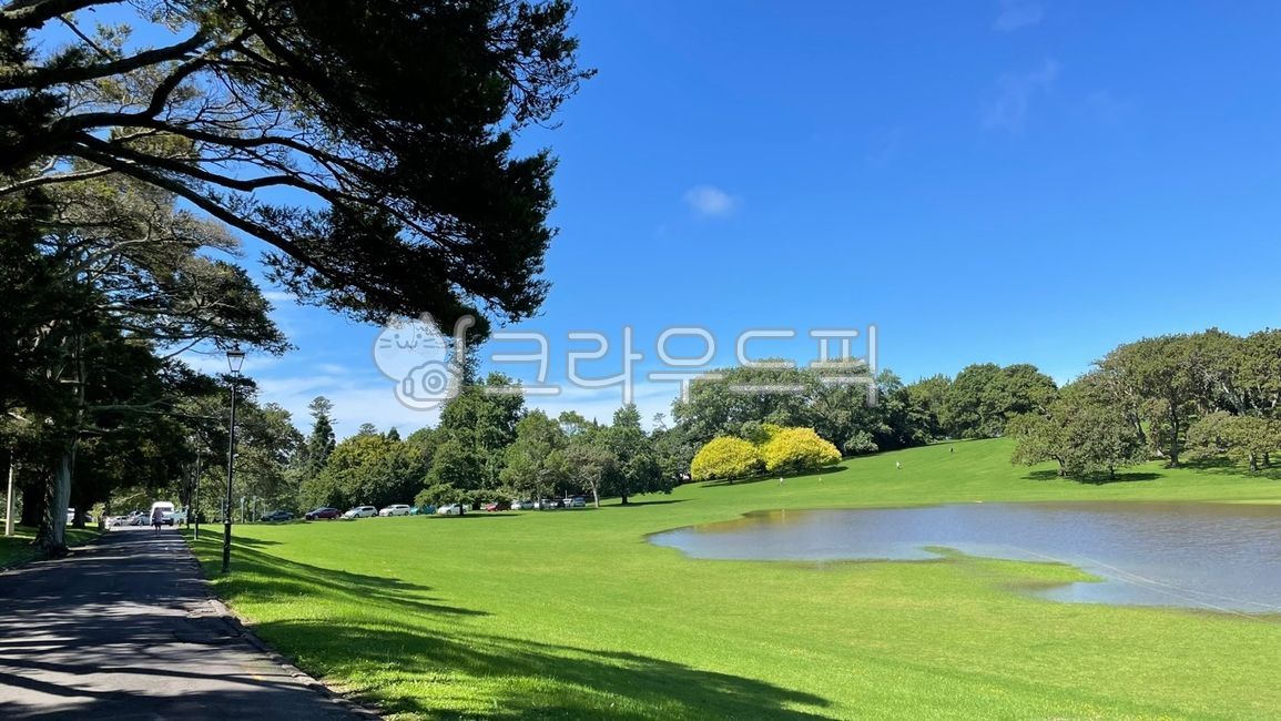 New Zealand Park,Australia Park,field,nature,Auckland Park,park,lawn