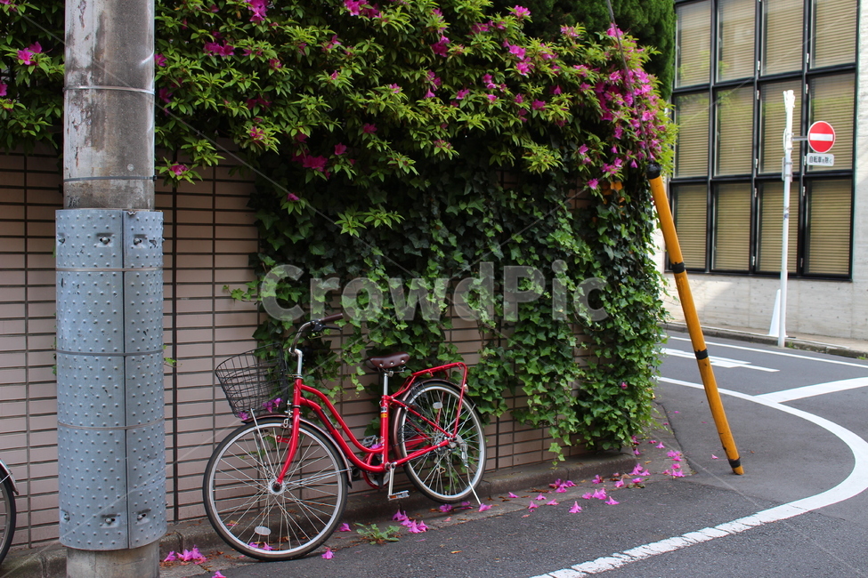 machine,기계,자전거,교통,bicycle,vehicle,벽