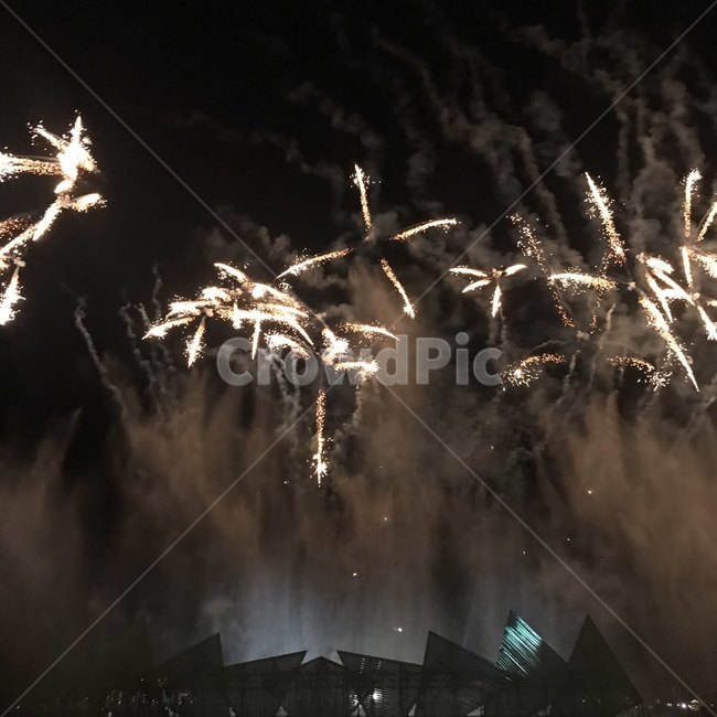 불꽃놀이,폭죽,밤하늘,축제,폭죽놀이