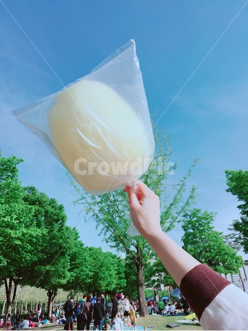 풍선,사람,손,솜사탕,공원,소풍