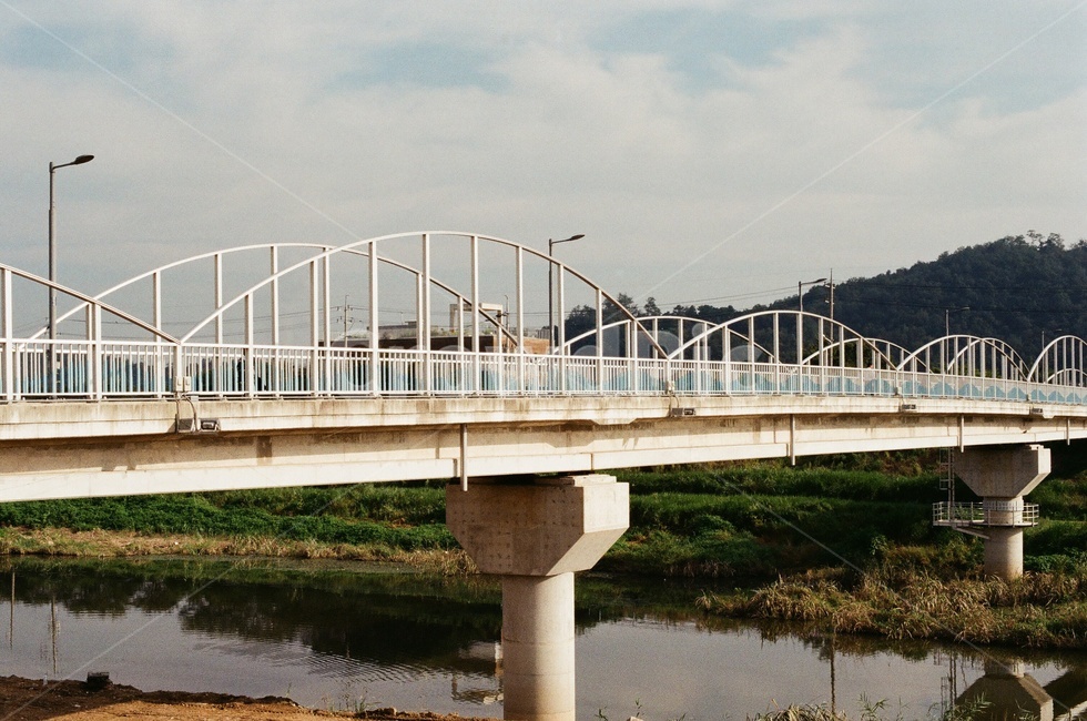 다리,건물,건축물,늦여름,인도교,필름사진,건축물,건물외관,exterior,building,structure,architecture,construction
