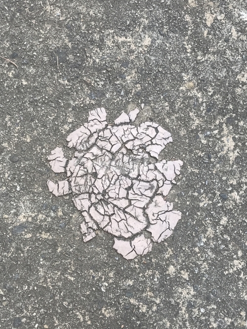 도로,아스팔트,하트,핑크,균열,무늬,스트릿사진,스트릿,텍스처,질감,패턴,texture,pattern