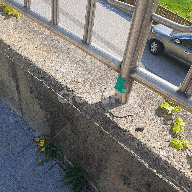 민들레,풍경,감성,날씨,행복