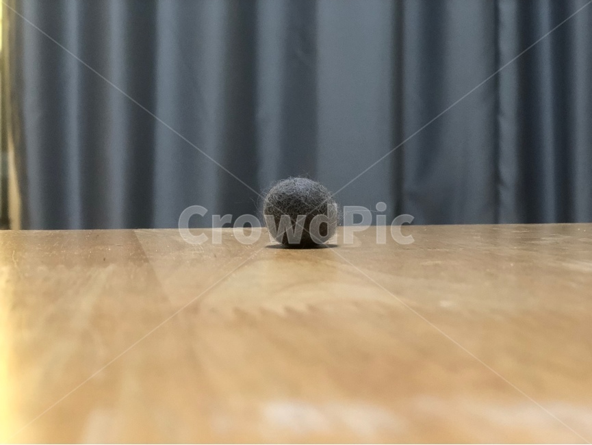 털뭉치,귀여움,고양이,털,동그라미,집사