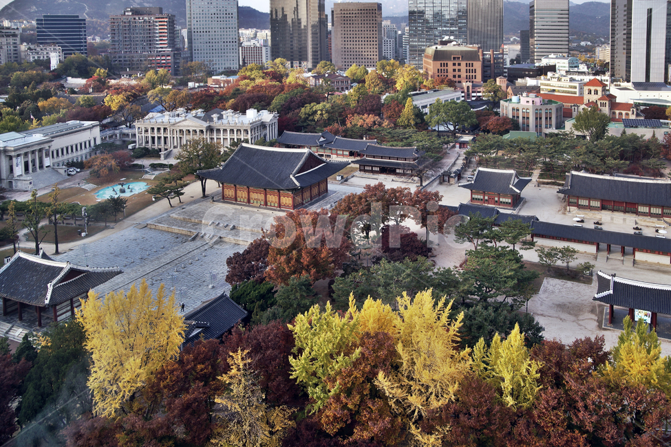 덕수궁,궁궐,가을,자연,도심,중화전,한국전통,한국문화,korean traditional,korean culture