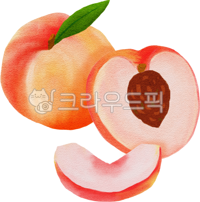 Peach,peach illustration,half peach,peeled peach,peach slice,fruit illustration,hand-drawn fruit,hand-drawn peach,peach drawing,peach leaf,peach watercolor,fruit painting,fresh peach,fresh fruit,fresh peach,fresh peach painting,fruit,peac
