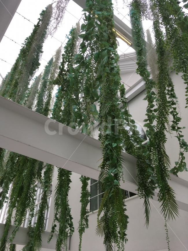 수풀,자연,공존,풀,덩쿨,식물,자연,plants,nature,인테리어,실내디자인,interior design