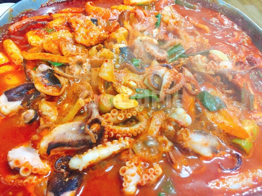 낙지볶음,매콤,양념낙지,매운맛,야채,채소,안주,해물요리,해산물,음식,식재료,요리,food,cook,meal,dishes,food reserves