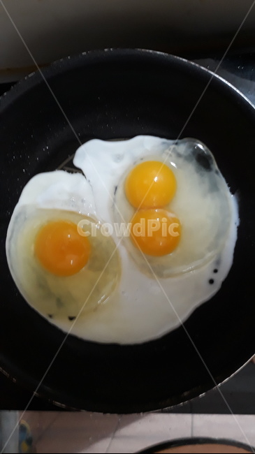 음식,쌍란,계란,푸드,egg,food