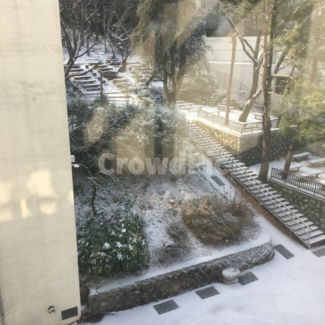 눈,겨울,정원,쌓인눈,겨울왕국,겨울,계절,winter,season
