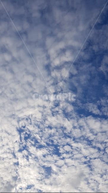 하늘,구름,파란하늘,하얀구름,sky,cloud,bluesky,뭉게구름,nature,outdoors,자연,옥외,azuresky,푸른하늘,자연,풍경,nature,landscape,azure sky,푸른 하늘