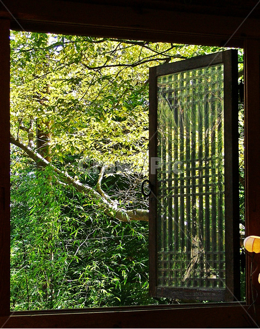 창,창호,전통,문살,자연,문,한국전통,한국문화,korean traditional,korean culture,건축물,건물외관,exterior,building,structure,architecture,construction