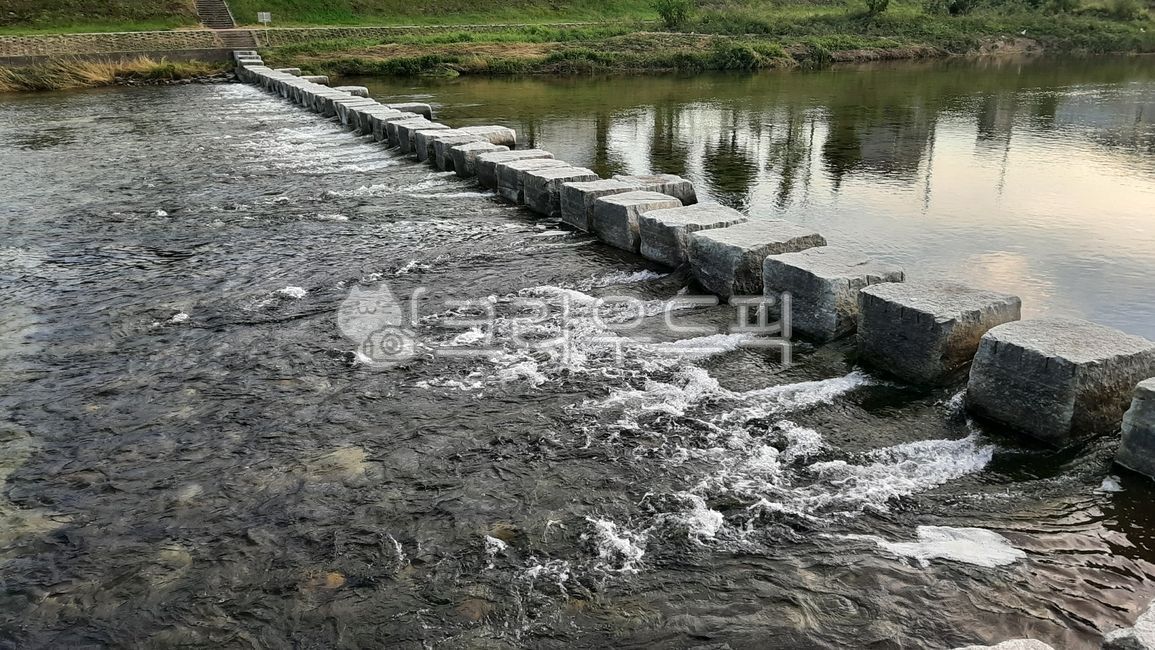 징검다리,강변대로,강물,다리,돌,바위,석재,경치,자연,하천,식물,물가,개울가,시냇물,개울물,물,맑음,나무반사,나무비침