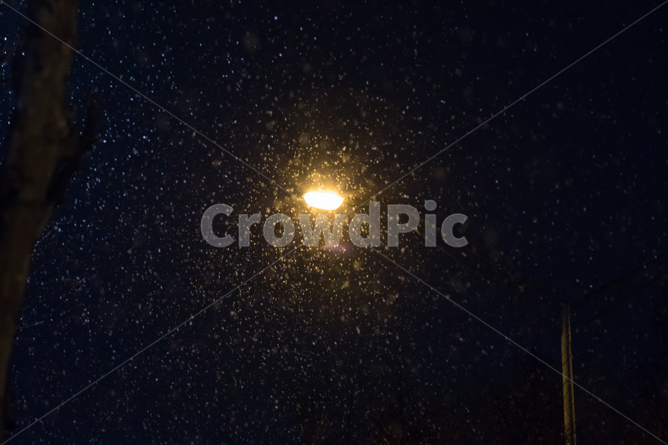 가로등,눈,밤,야경,감성,겨울,계절,winter,season,자연,풍경,nature,landscape,야경,밤,nightscape,night,flare,플레어,light,빛