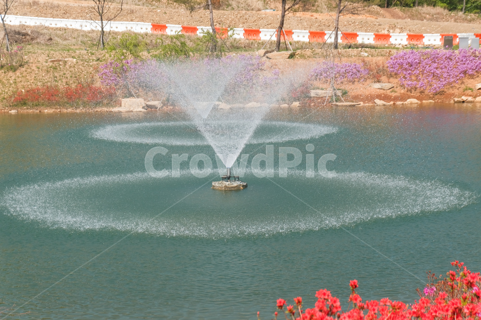 호수,분수,원,물,봄,여름,시원한,모양,lake,pond,circle,spring,fresh,cool,water