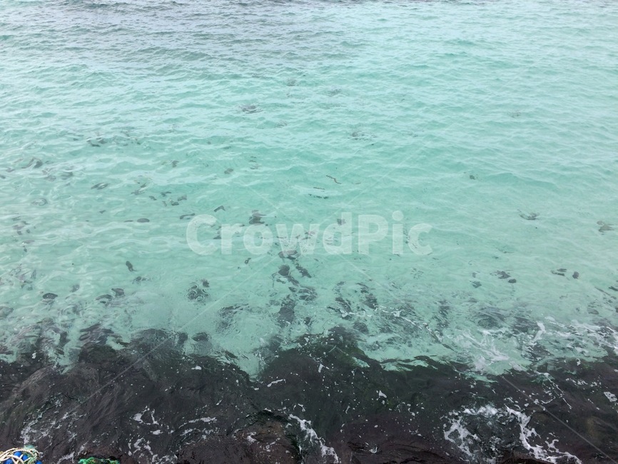 바다,제주,여름,돌,에메랄드,시원함,시원,자연,풍경,nature,landscape,sea,outdoors,옥외,ocean,대양,water,물,shoreline,해안선