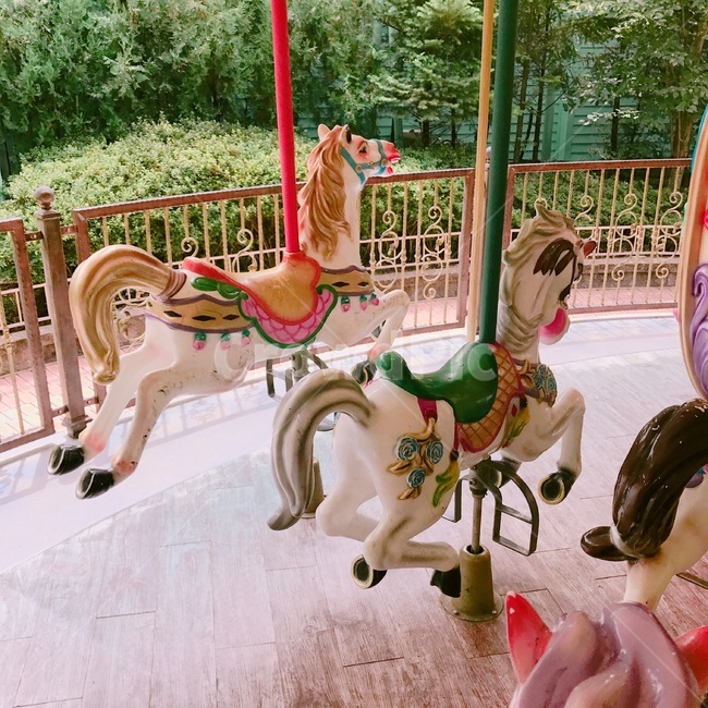 이월드,놀이동산,회전목마,대구,여름,daegu,amusementpark,summer