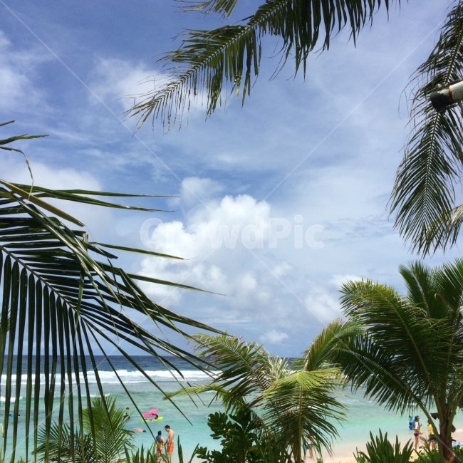 괌,휴양지,여름휴가,해변,바닷가,야자수,자연,풍경,nature,landscape,해변,바다,beach,sea,해외,외국,세계,foreign,oversea,world,세계자연풍경,해외자연풍경,외국자연풍경,world nature landscape,사람들,대중,군중,other people,crowd,여행,휴가,traveling,vacation,trip,summer,여름,outdoors,옥외