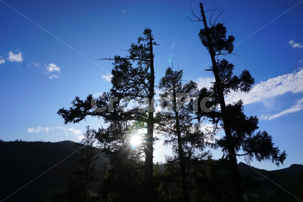 자연,nature,land,땅,몽골,mongolia,flare,플레어,light,빛