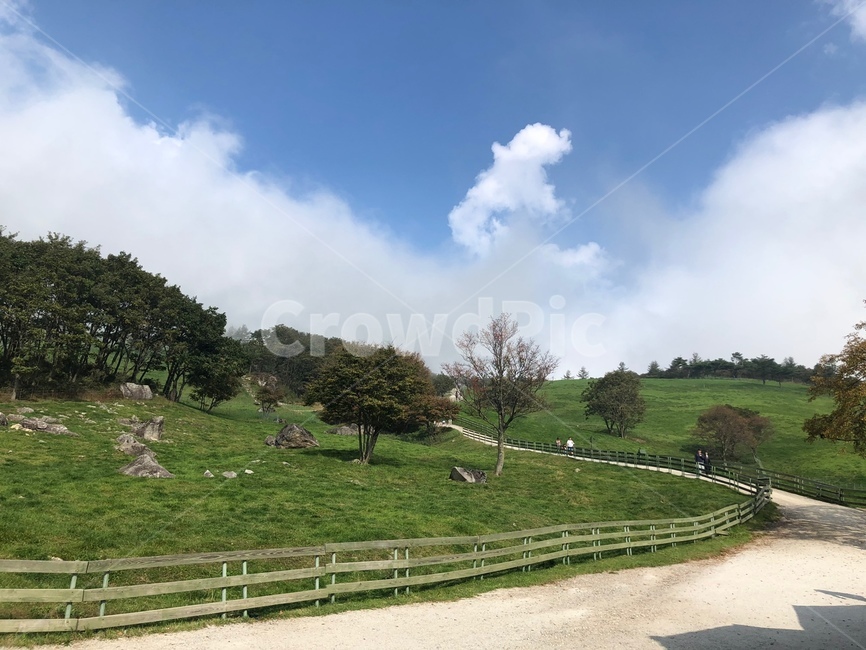 outdoors,nature,자연,옥외,초원,자연,풍경,nature,landscape