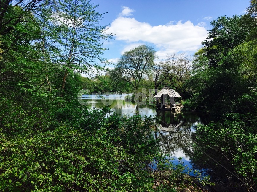 자연,휴식,초록풍경,안정,센트럴파크,도심공원,centralpark