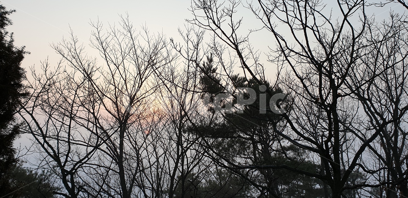 운암,국사봉,일출,해,태양