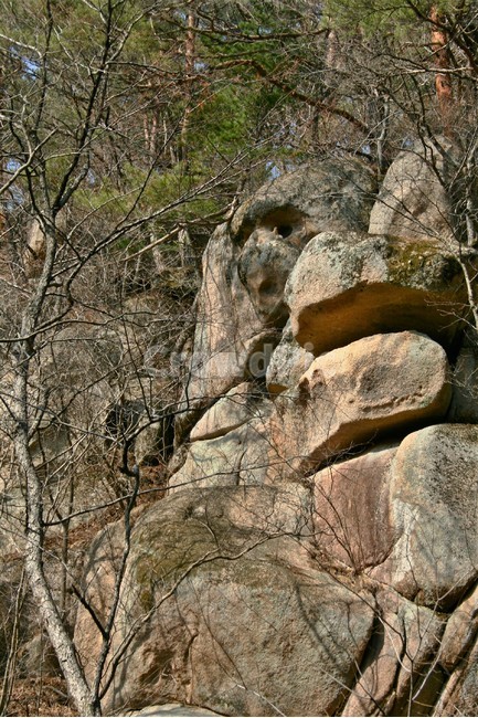 속리산,손오공바위,원숭이바위,손오공상,원숭이상,속리산국립공원,산,자연,신비,바위,자연,풍경,nature,landscape,rock,록